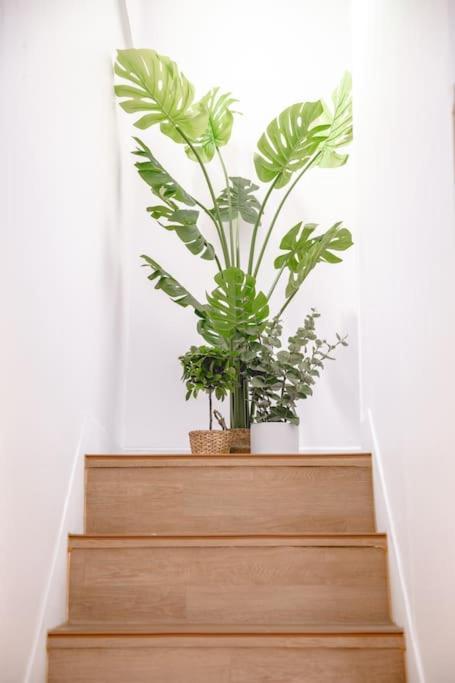 Apartment Deepstay253 *